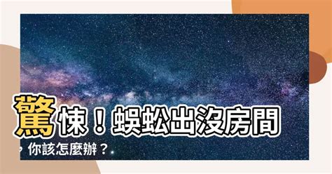 蜈蚣出現在房間|【蜈蚣在房間】蜈蚣闖入房間怎麼辦？驚見不速之客的。